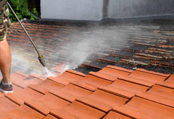 Best Pressure Washing Patio  in Hicksville, NY